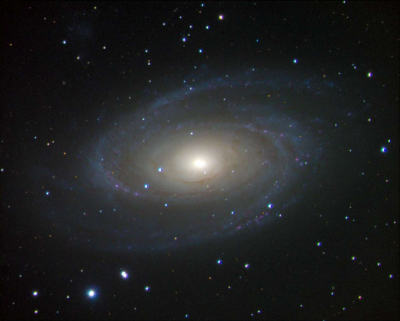 M81 Steve Chambers